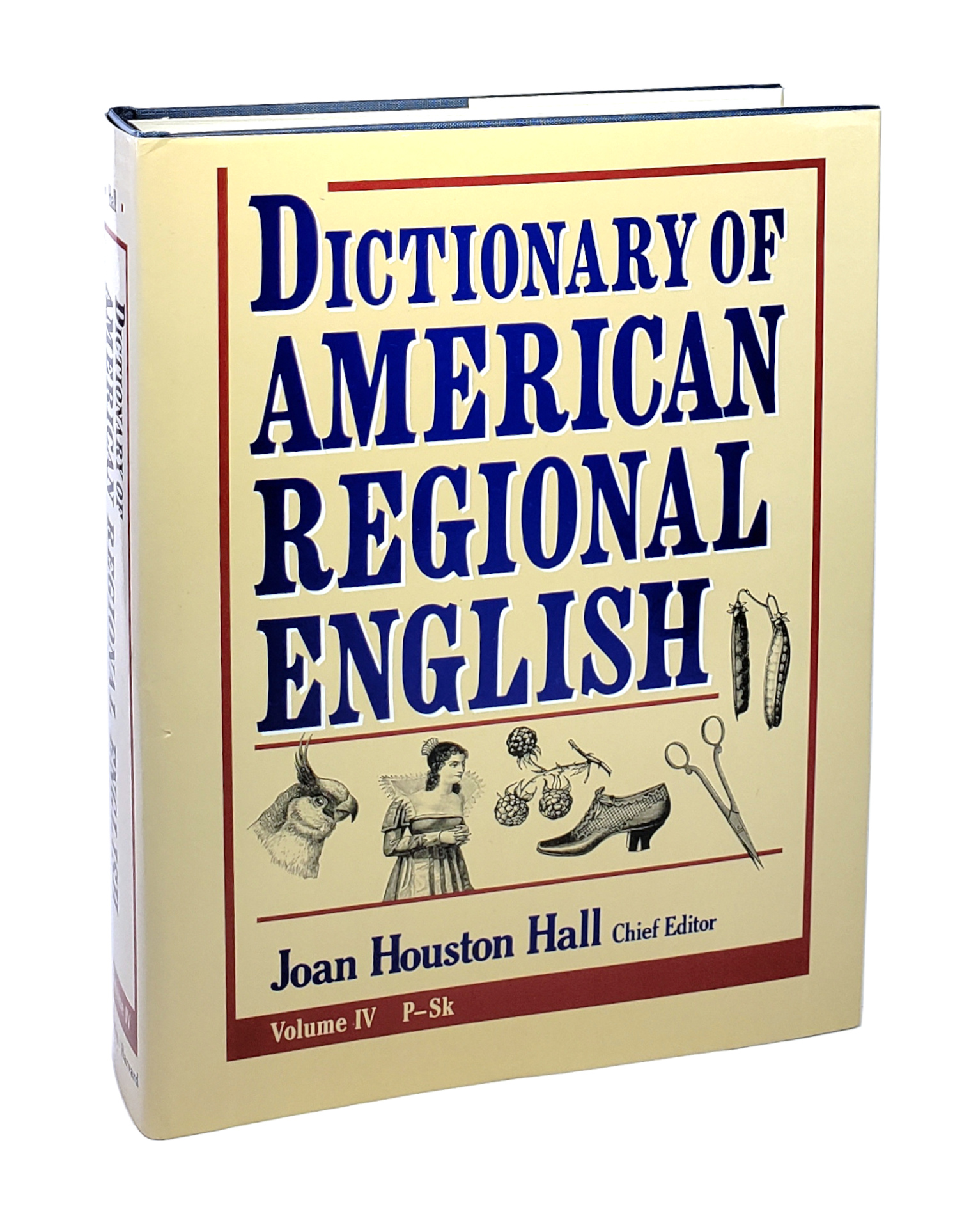 dictionary-of-american-regional-english-dare-the-national-endowment